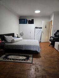 Opera Estate (D15), Terrace #447566821